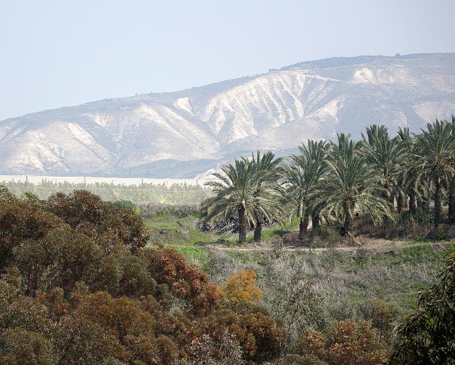 The Golan Heights Photograph by Rita Adams
