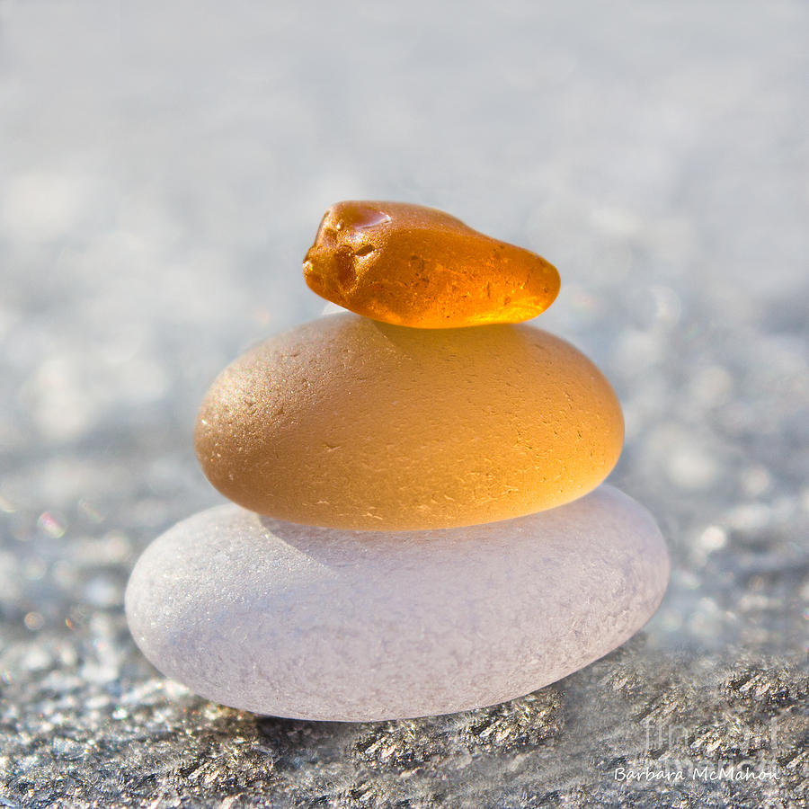 The Golden Egg Photograph by Barbara McMahon