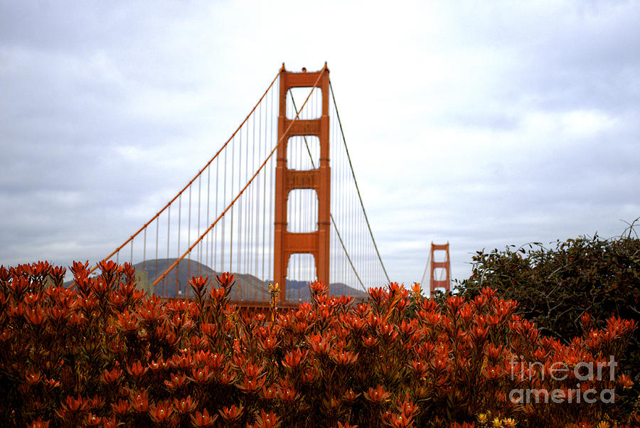 The Golden Gate Bridge Photograph by Deborah Smolinske