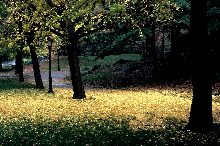 Fall Photograph - The Golden Gingko Path by Tom Wurl