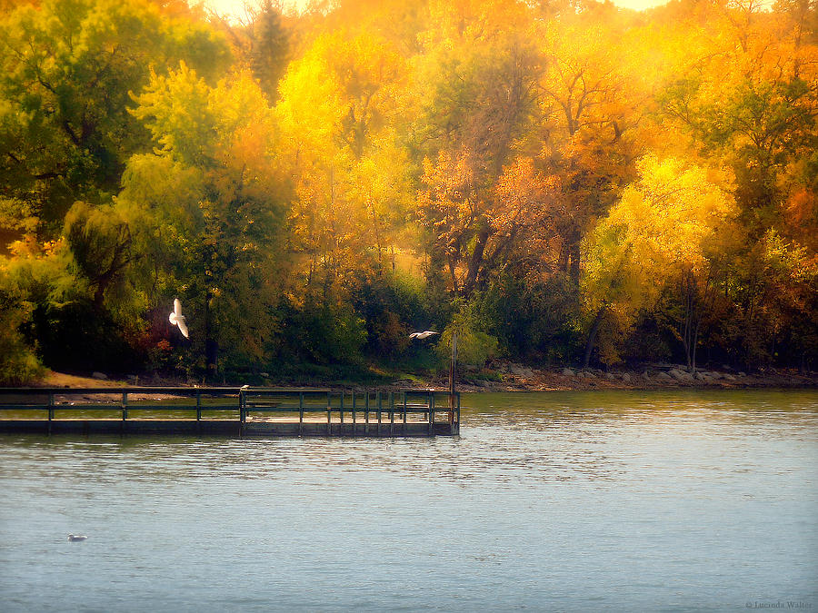 Fall Photograph - The Golden Hour by Lucinda Walter
