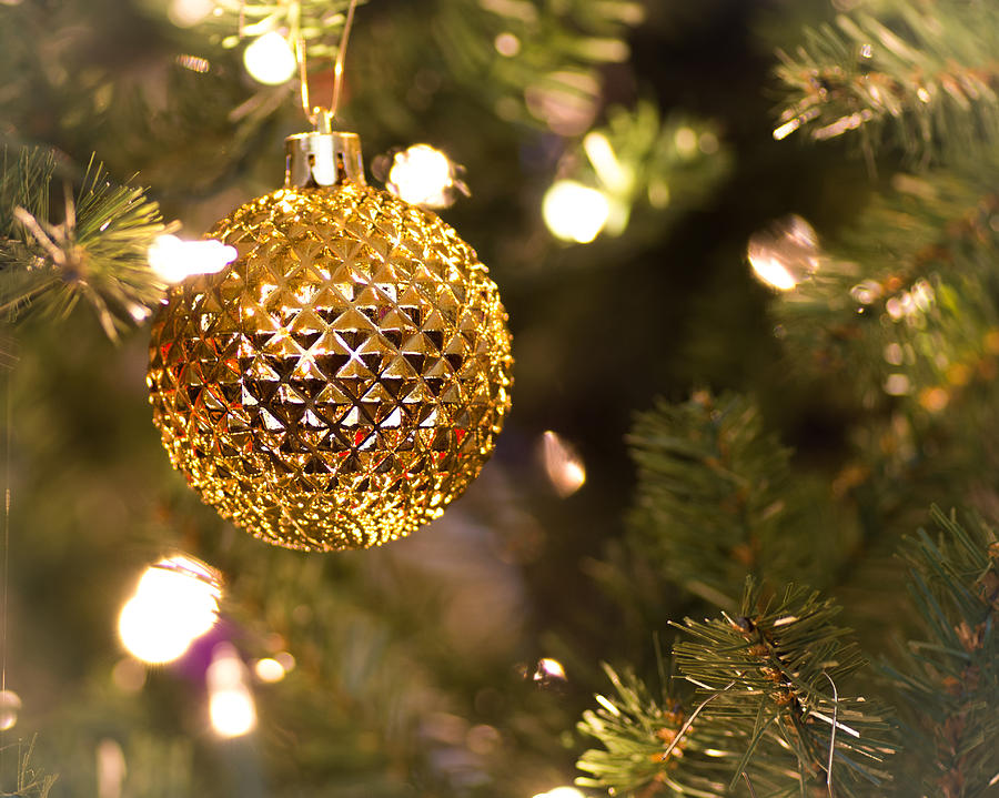 The Golden Ornament Photograph by Will Wagner
