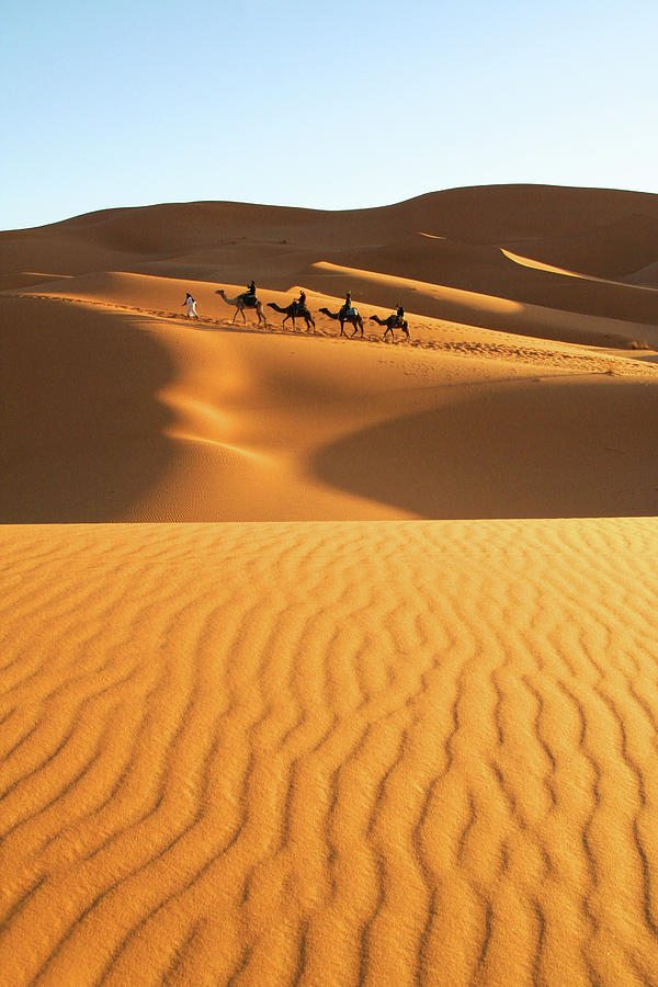 The Golden Sahara Desert Photograph by Chin Ping, Goh