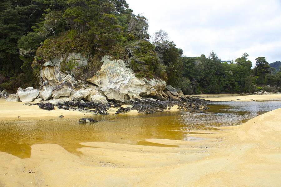 The Golden Sands of Kaiteriteri Photograph by Venetia Featherstone-Witty