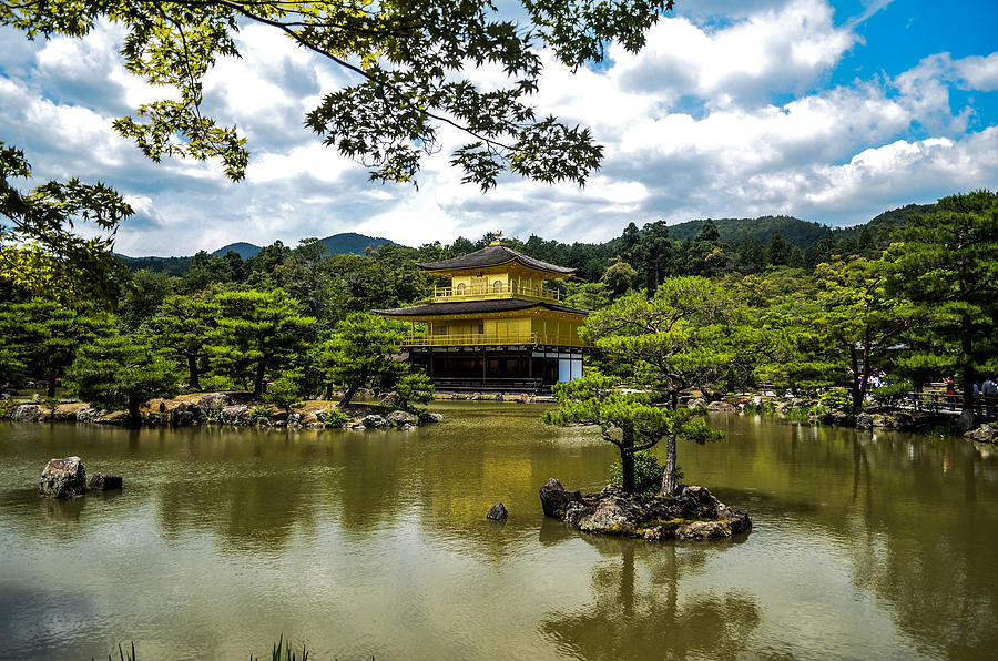 The Golden Temple Photograph by Natasha Larkin | Fine Art America