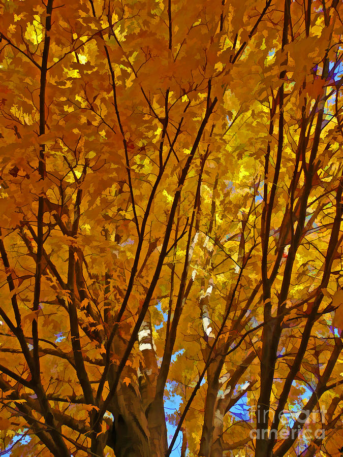 The Golden Tree Digital Art by Jayne Carney