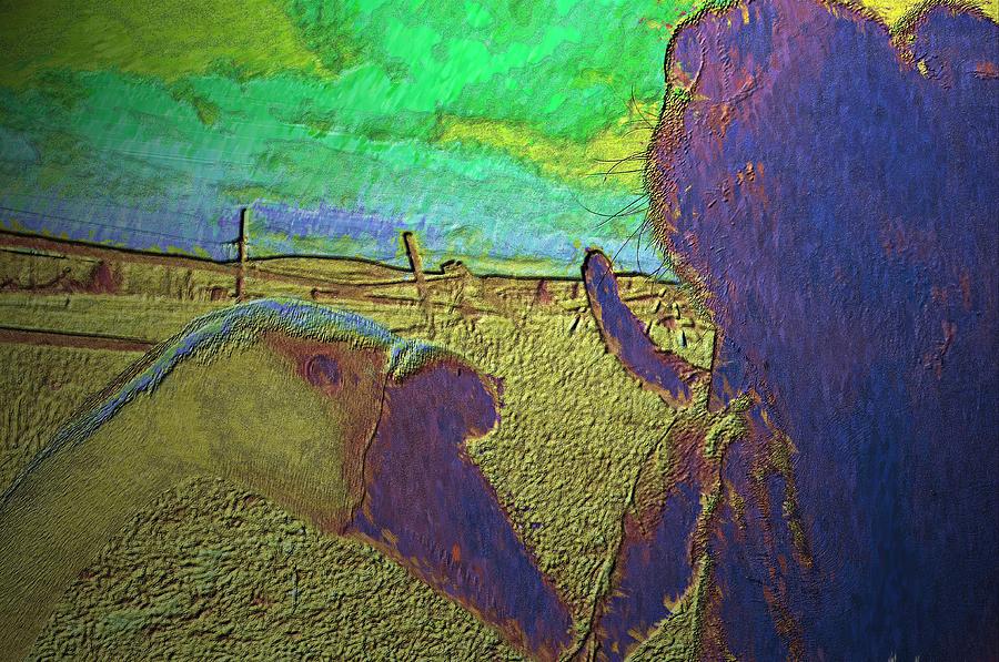 The Goose and The Lab Reach an Agreement by Lisa Holland-Gillem The Goose and The Lab Reach an Agreement by Lisa Holland-Gillem
