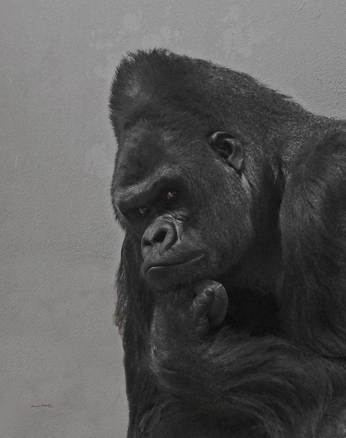 The Gorilla Digital Art by Ernest Echols