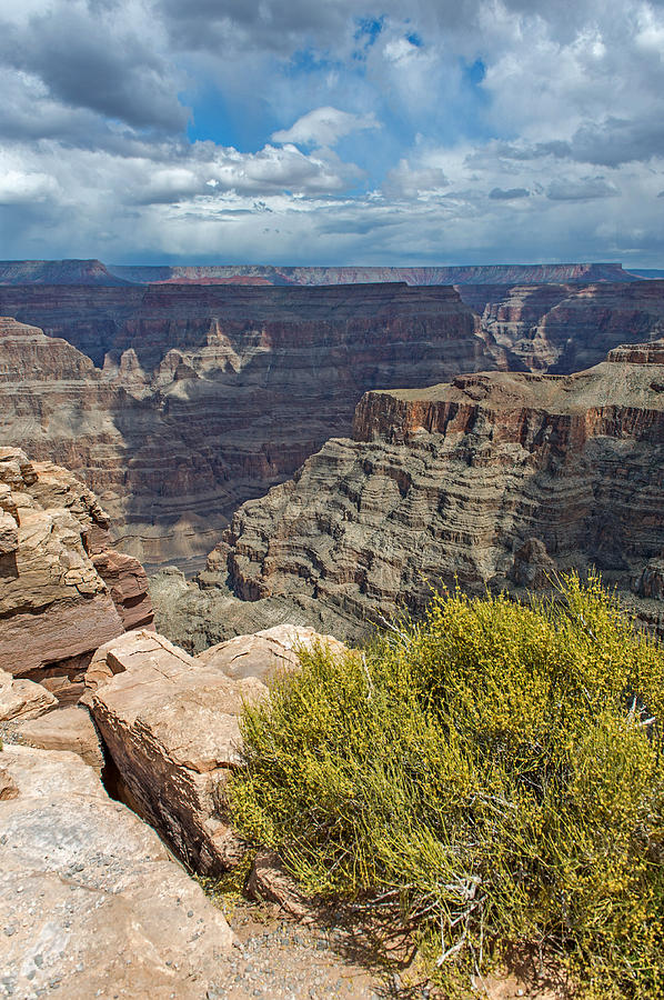 The Grand Canyon   Photograph by Willie Harper