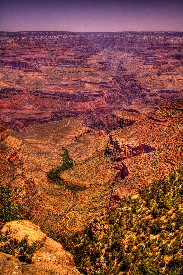 The Grand Canyon from Bright Angel Lodge Photograph by David Patterson