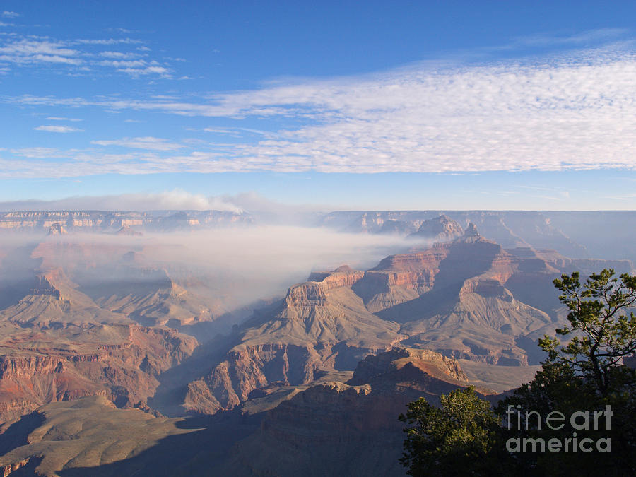 The Grand Canyon From Mather Point Photograph