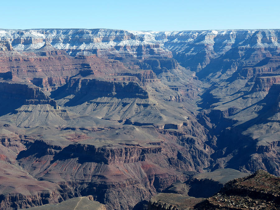 The Grand Canyon Photograph by Laurel Powell