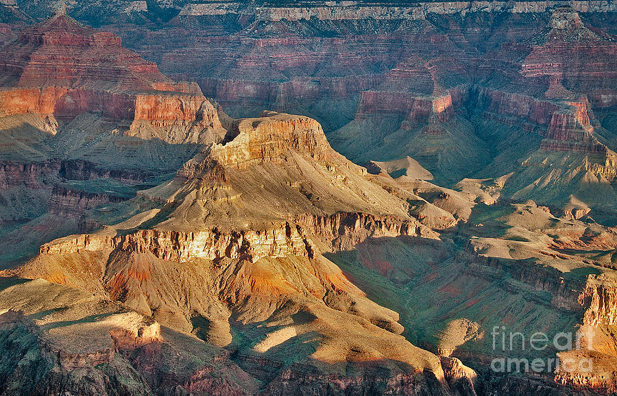 The Grand Canyon Photograph by Mae Wertz