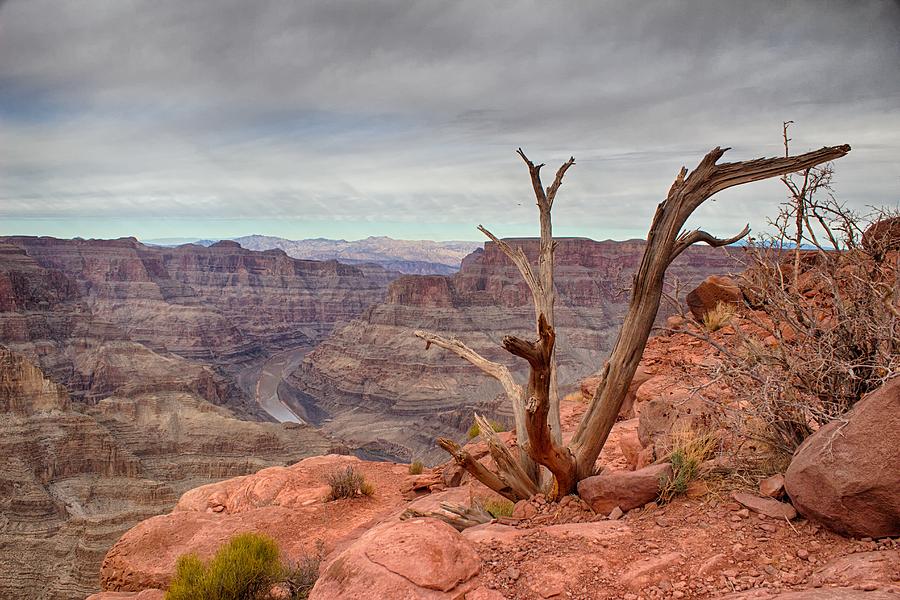 The Grand Canyon Photograph by Michael W Rogers