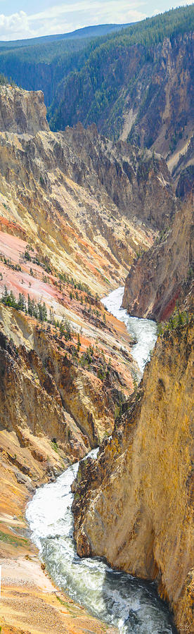 The Grand Canyon of Yellowstone Photograph by Aaron Spong