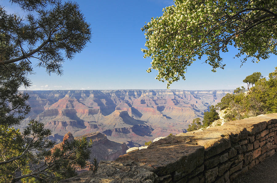The Grand Canyon Photograph by Patrick Warneka - Fine Art America