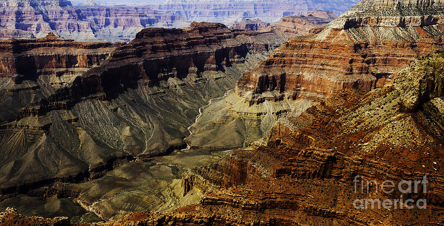The Grand Canyon Photograph by Thomas R Fletcher