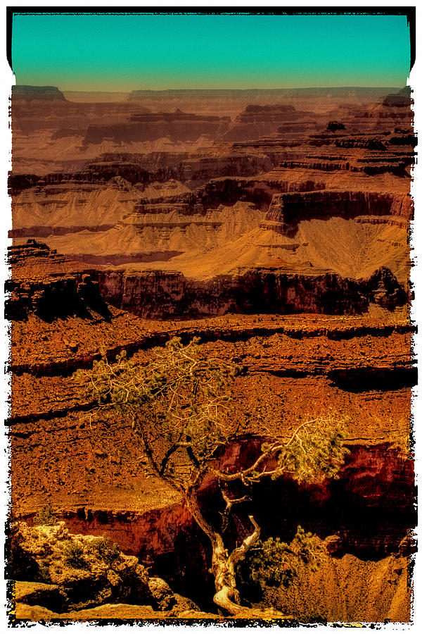 The Grand Canyon Vintage Americana VI Photograph by David Patterson