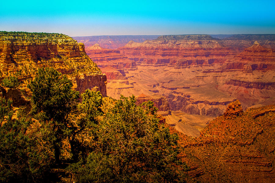 The Grand Canyon XI Photograph by David Patterson
