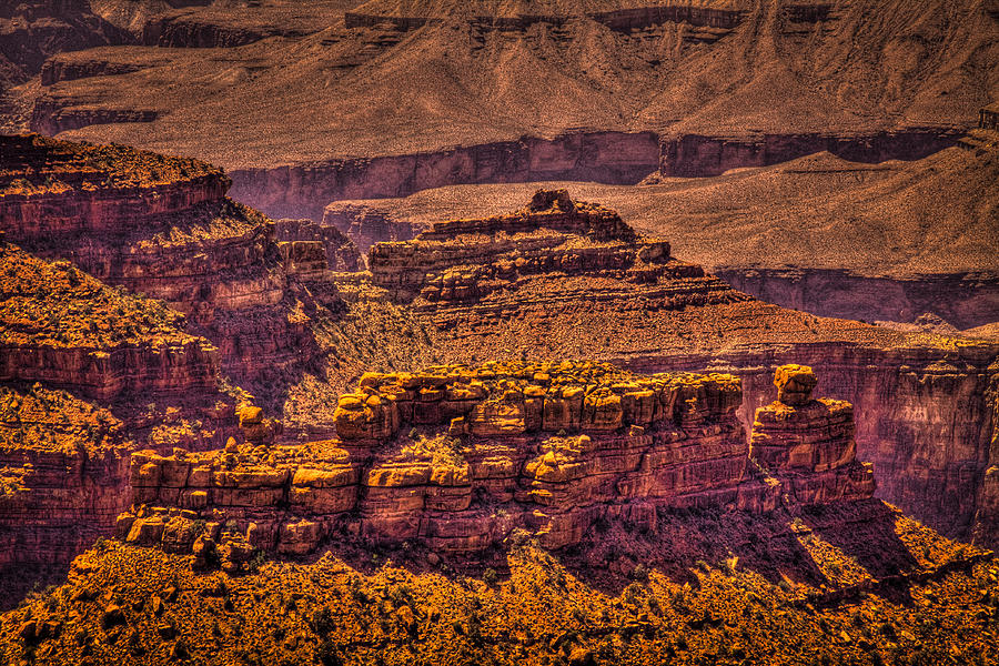 The Grand Canyon XIV Photograph by David Patterson