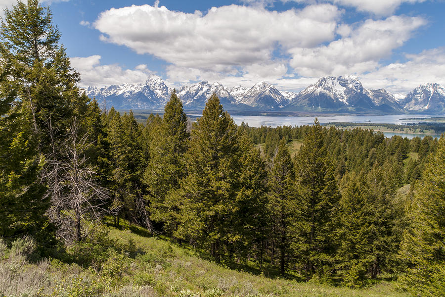The Grand Tetons From Signal Mountain - Grand Teton National Park Wyoming Photograph by Brian Harig