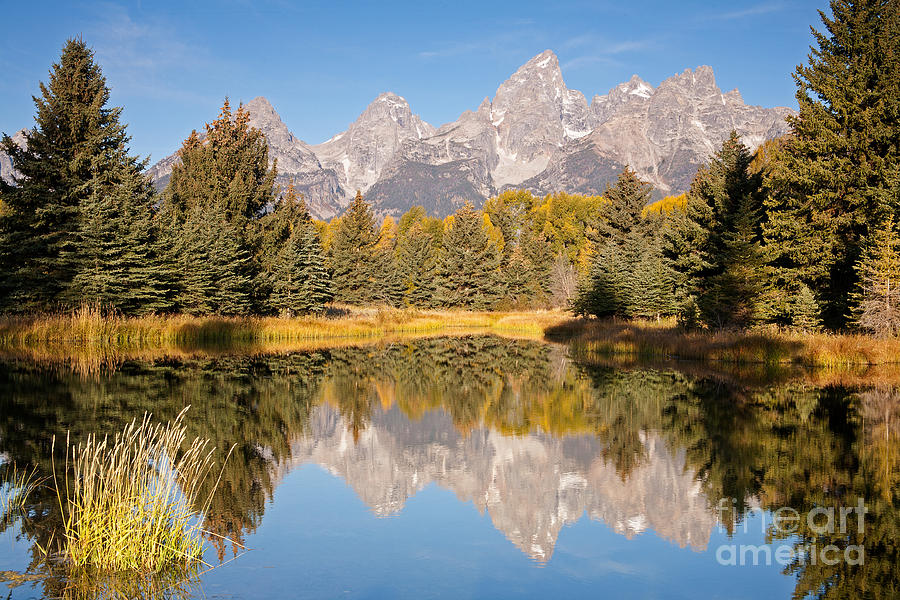 The Grand Tetons Schwabacher Landing Grand Teton National Park Photograph by Fred Stearns
