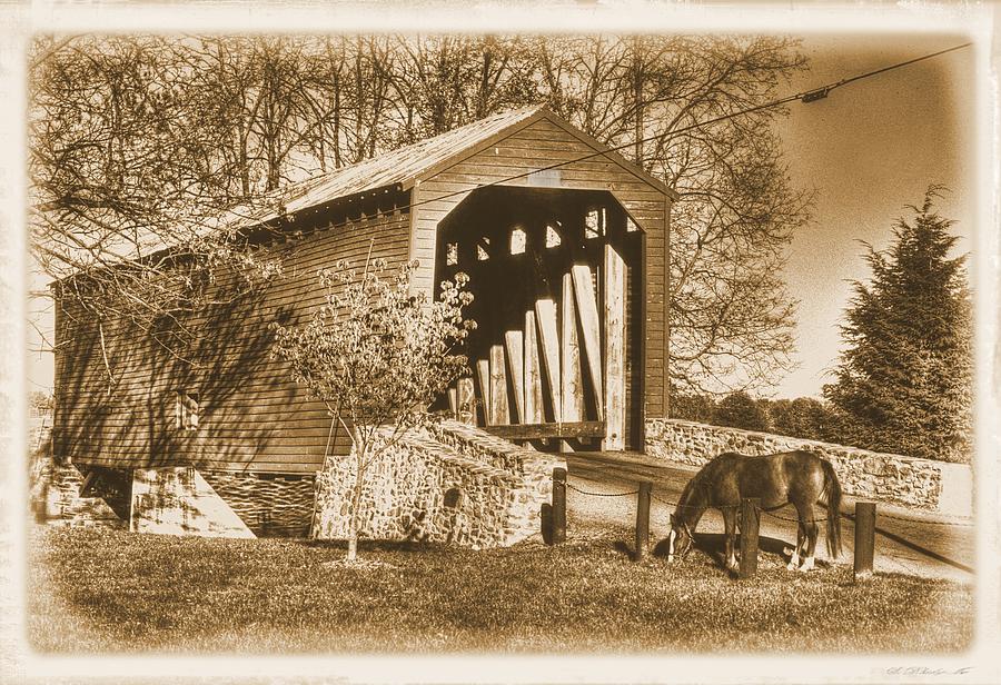 The Grass is Always Greener - Loys Station Covered Bridge - Frederick County Maryland Sepia Photograph by Michael Mazaika