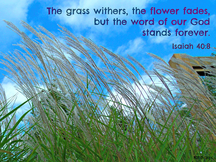 The Grass Withers Digital Art by Christine Nichols