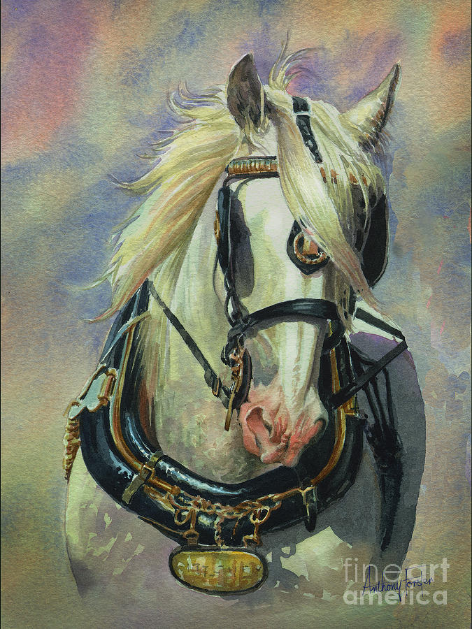 The Gray Shire Horse Painting by Anthony Forster