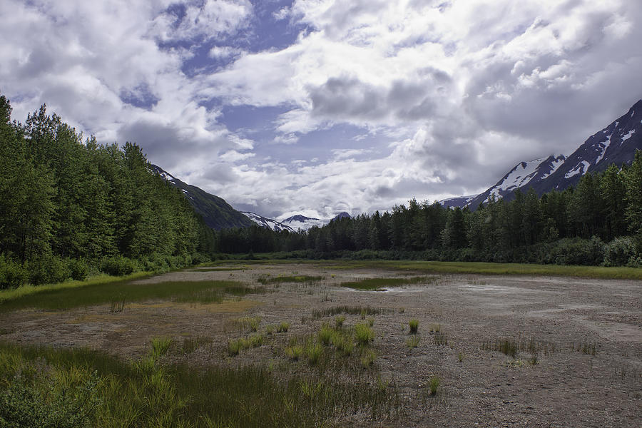 The Great Alaskan Wilderness Photograph by Kim Hojnacki