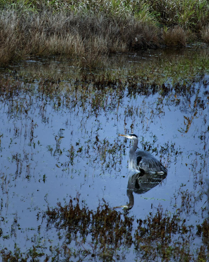 The Great Blue Calm Photograph by Belinda Greb - Fine Art America