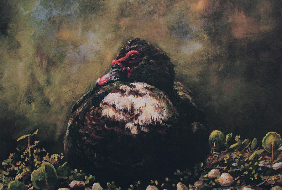 The Great Muscovy Painting by Sarah Davis The Great Muscovy Painting by Sarah Davis