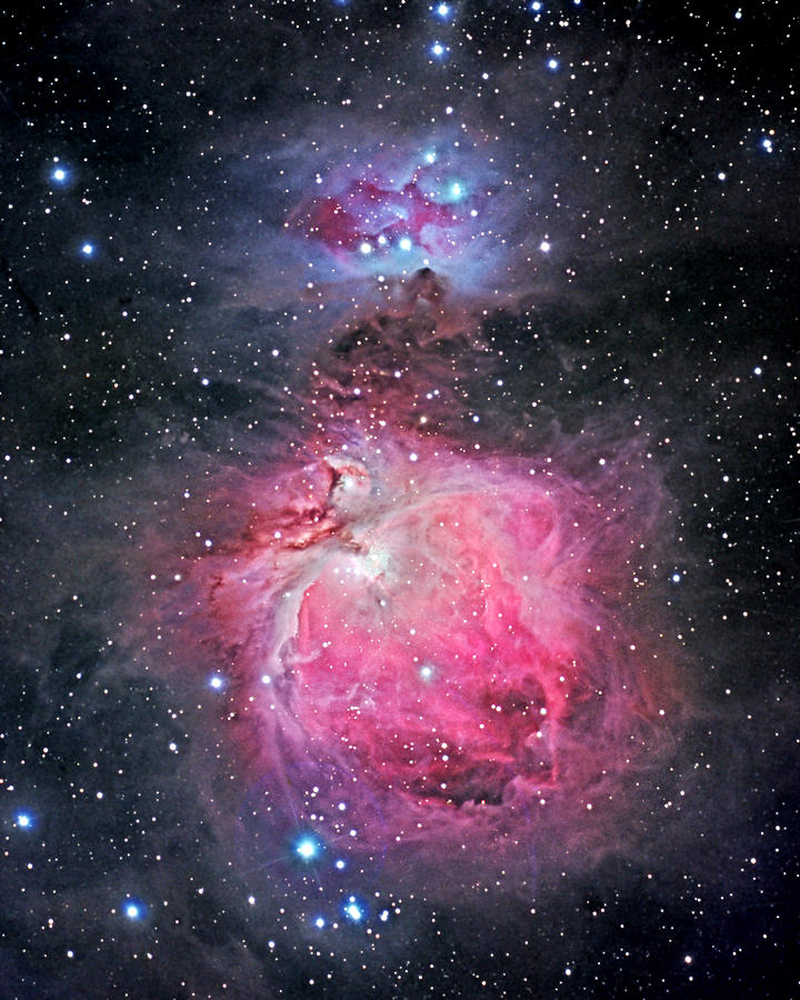 The Great Nebula In Orion Photograph by Jason T. Ware