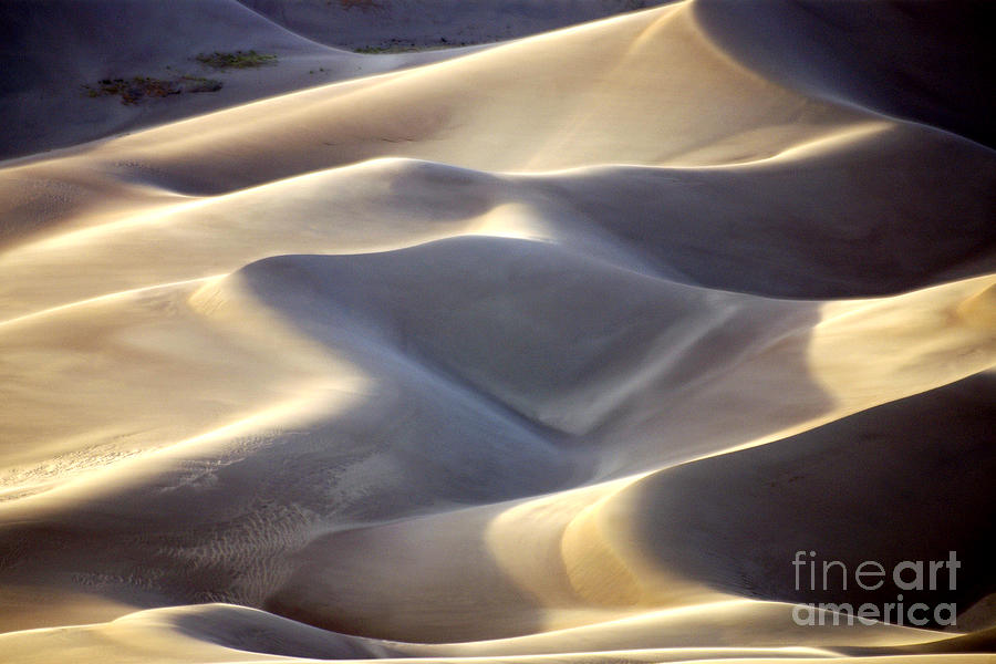 The Great Sand Dunes Photograph by Douglas Taylor