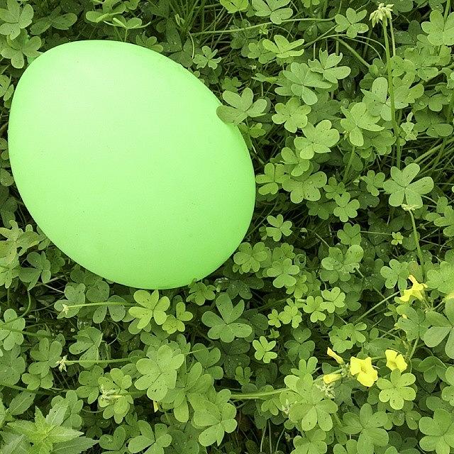 The Green Balloon Photograph by Steve Outram