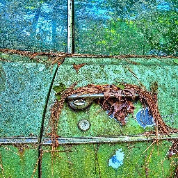 Car Photograph - The Green Door by David Ferguson