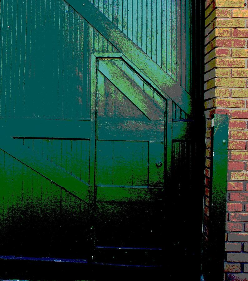 Door Photograph - The Green Door by Douglas Settle