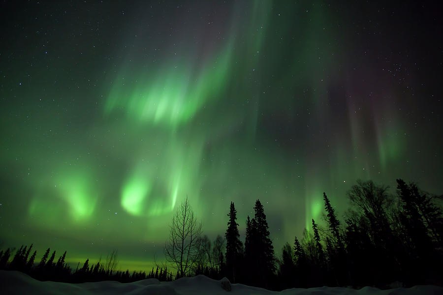 The Green Glow Of The Aurora Borealis Photograph by Lucas Payne - Fine ...