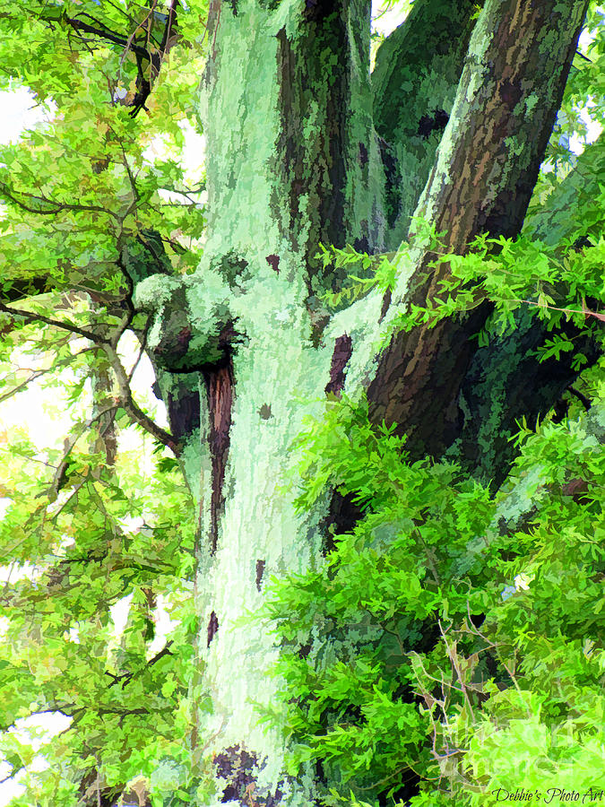 The Green Green - Happy Elephant -Tree - Digital Paint Photograph by Debbie Portwood