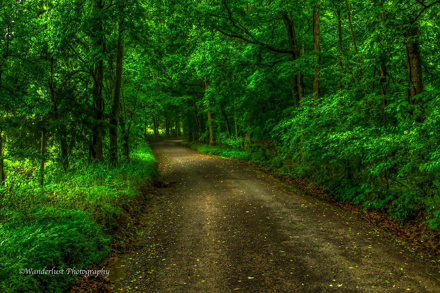 The Green Mile Photograph by Paul Herrmann - Fine Art America