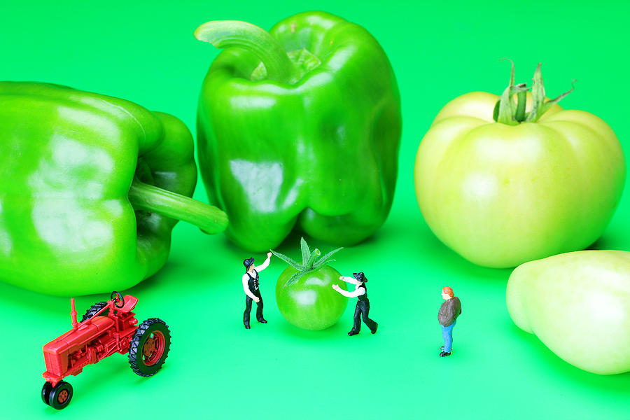 The Green Vegetables little people on food Photograph by Paul Ge