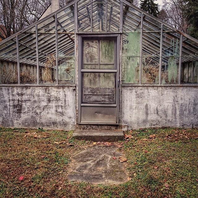 The Greenhouse 👍 Photograph by Stephanie Tomlinson