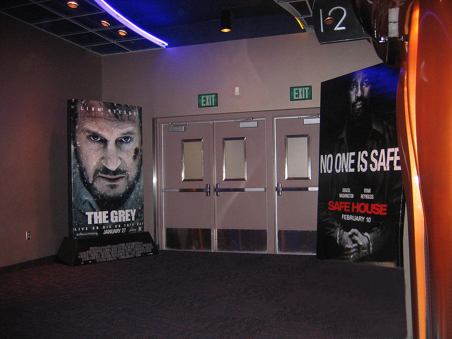 The Grey No One Is Safe  Posters Harkins Theaters Casa Grande Arizona 2012 Photograph