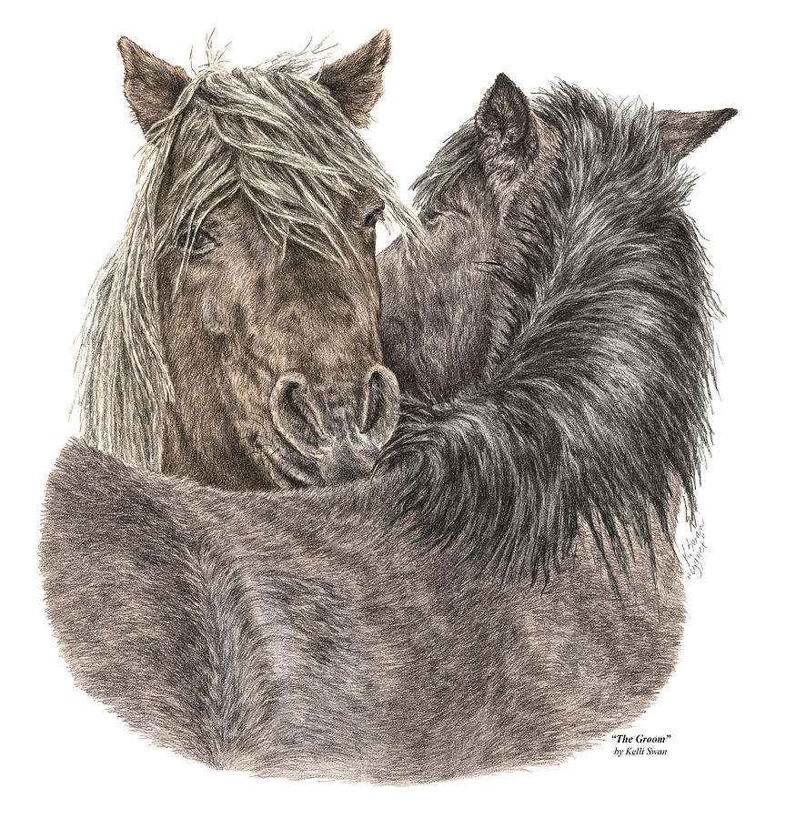 The Groom - Chincoteague Pony Print - color tinted Drawing by Kelli Swan