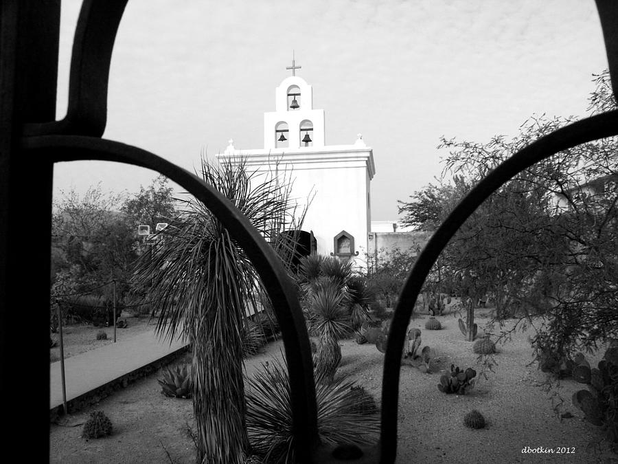 The Grounds of San Xavier Photograph by Dick Botkin