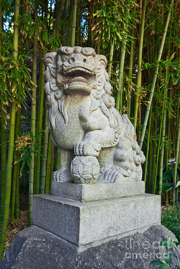 Architecture Photograph - The Guardian - Chinese Guardian Lion statue with a bamboo backdrop. by Jamie Pham