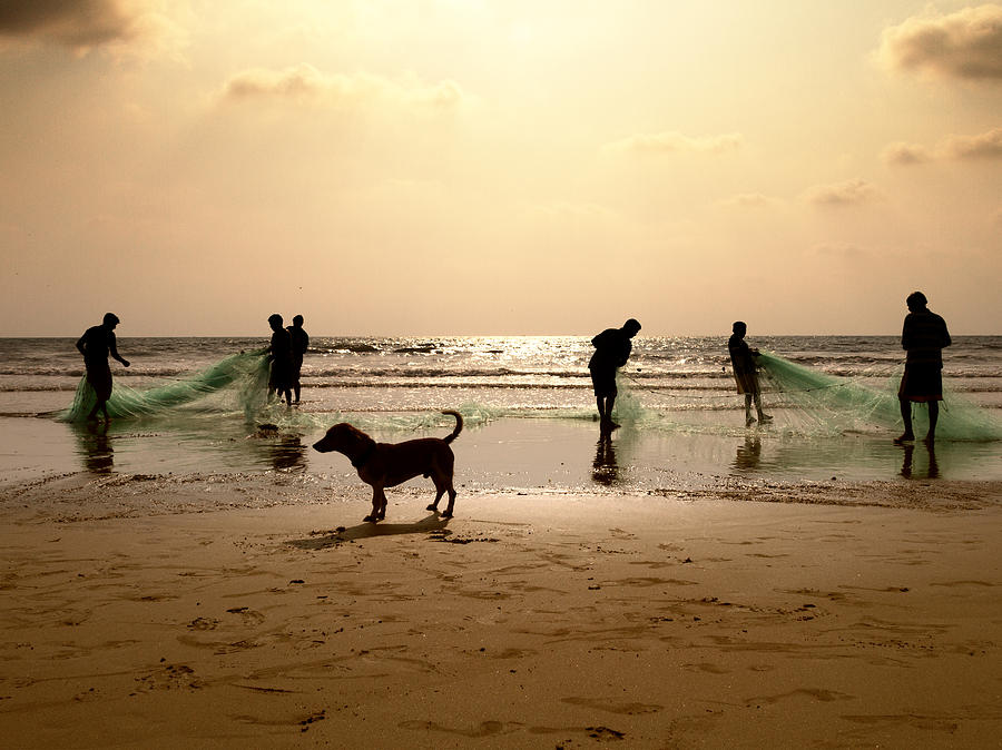 The Guardian dog Photograph by Stelios Kleanthous