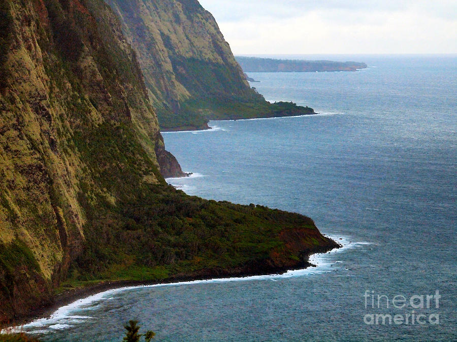The Guardians of Waipio Valley Photograph by Patricia Griffin Brett