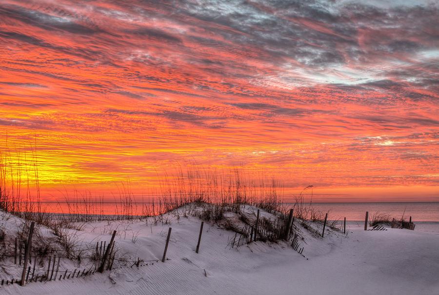 The Gulf Shores of Alabama Photograph by JC Findley
