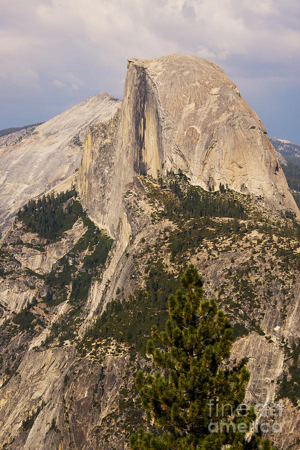 The Half Dome Photograph by Bob Phillips